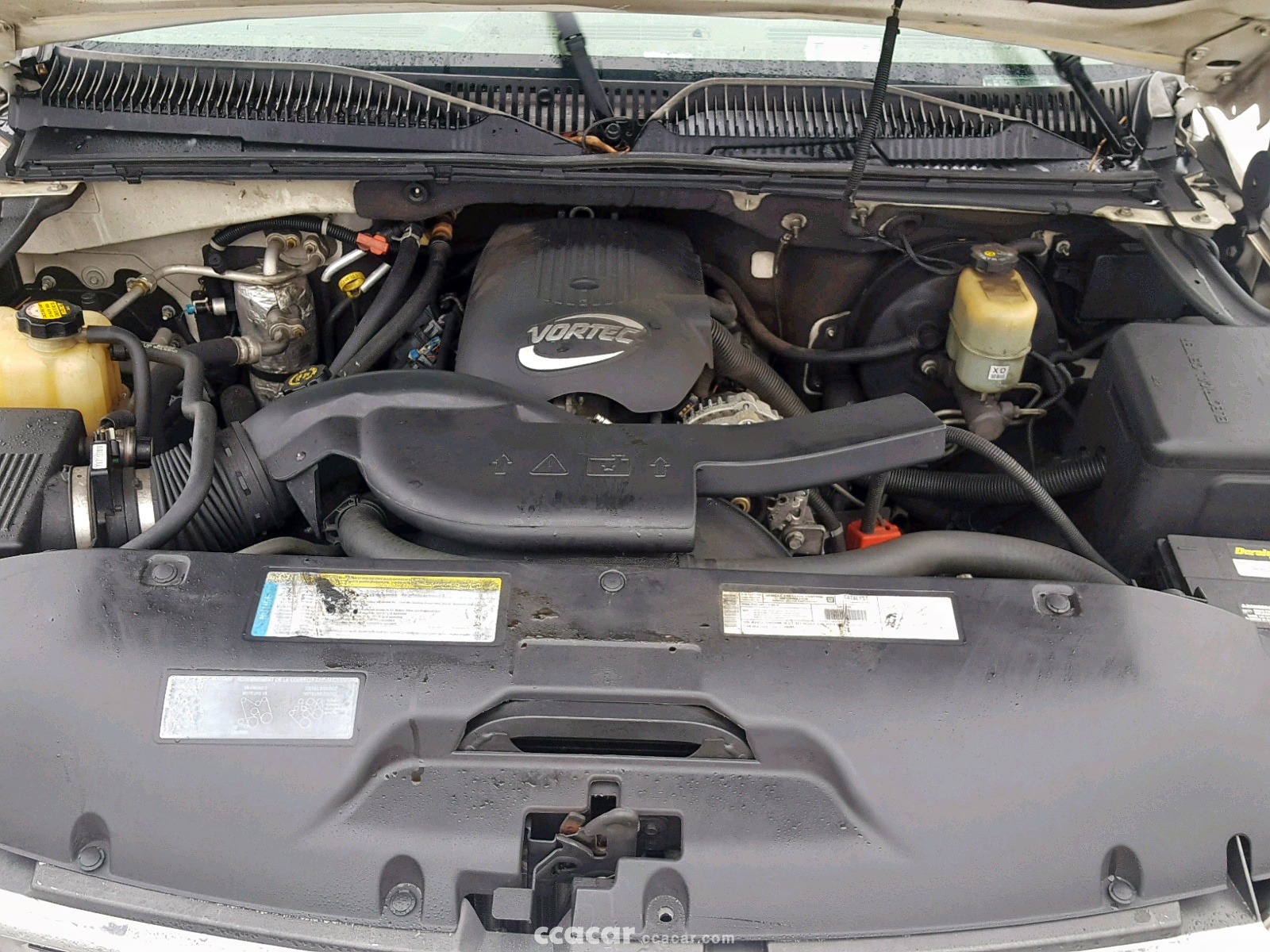 02 tahoe dies but starts right backup